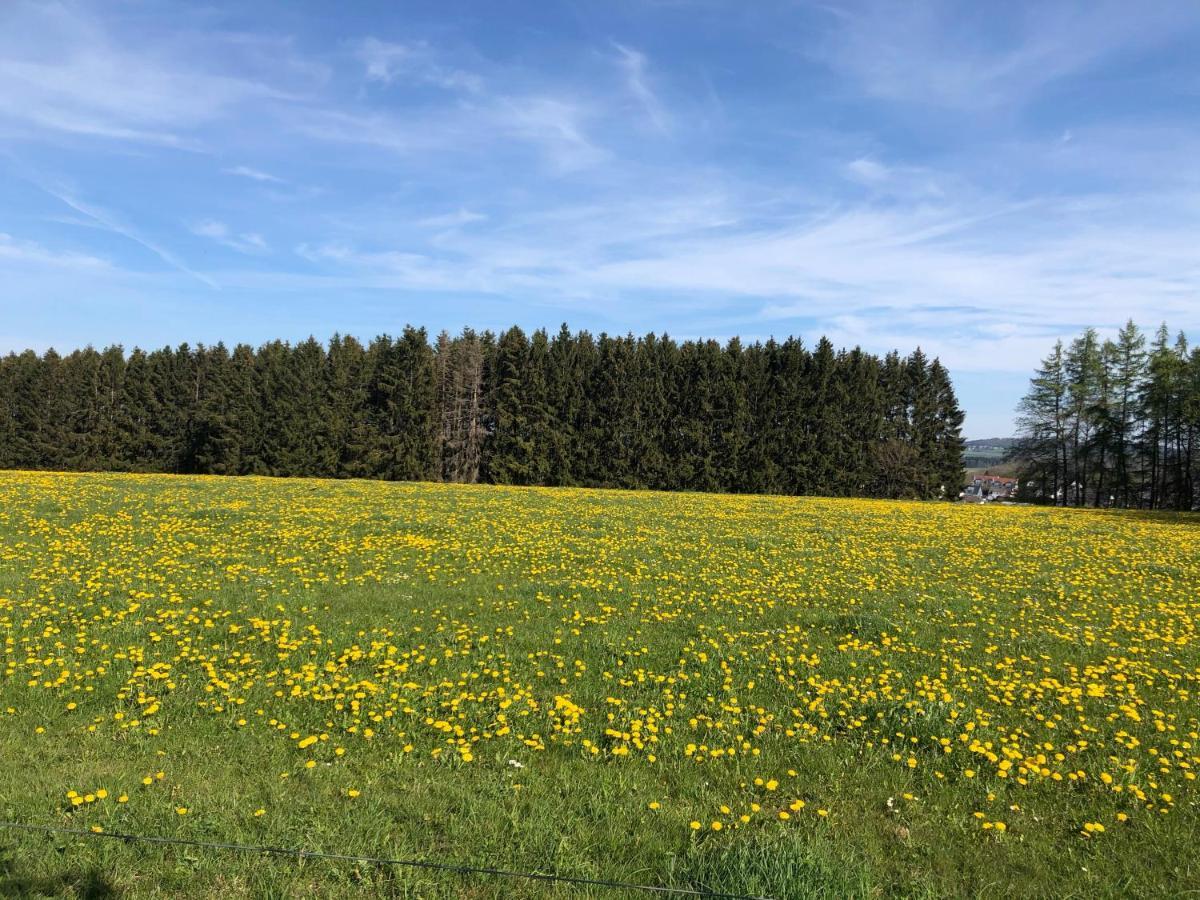 Ferienwohnung Am Wald ハーヘンブルク エクステリア 写真